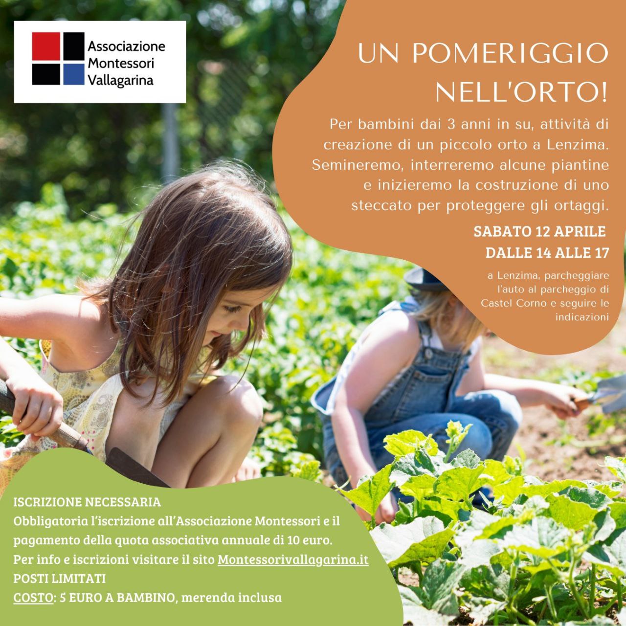 Pomeriggio nell'orto